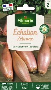 Echalion Zébrune